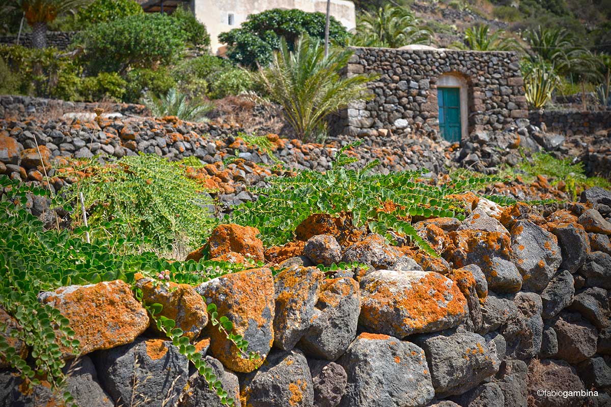 I dammusi di Pantelleria, abitazioni rurali con muri spessi e tetti a cupola
