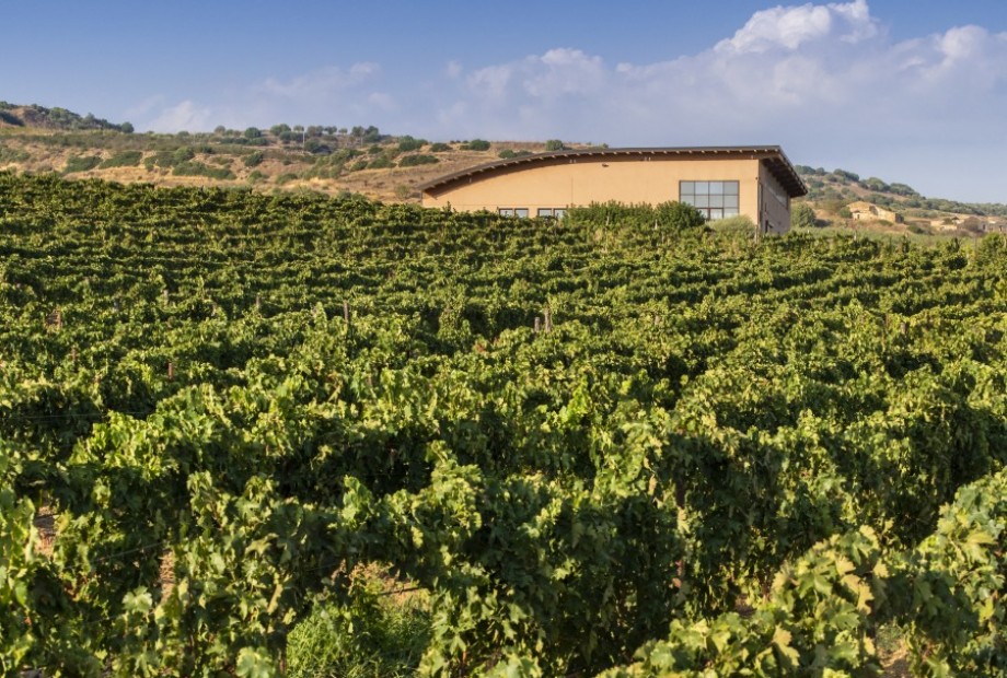 Vittoria Donnafugata Weingut