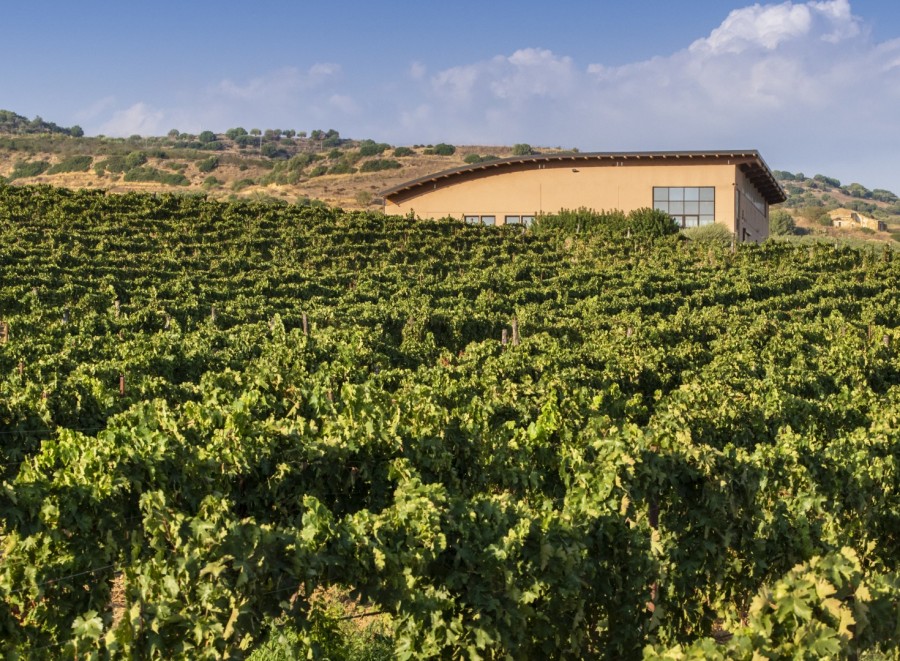 Cantina Vittoria Donnafugata