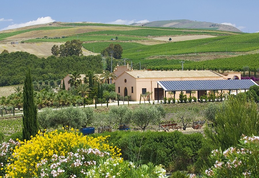 vinícolas Contessa Entellina https://visit.donnafugata.it/en/wineries